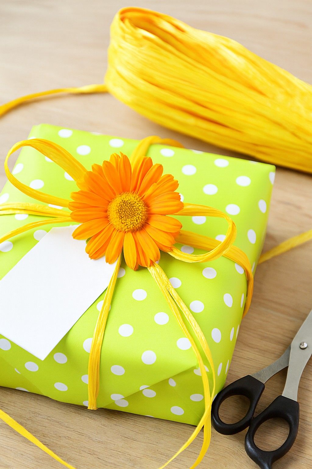 Edelbast 30m an einem Stück, bananengelb